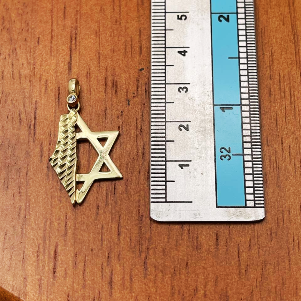 Star of David & Israel Map Pendant 14K Gold with Diamond Accent