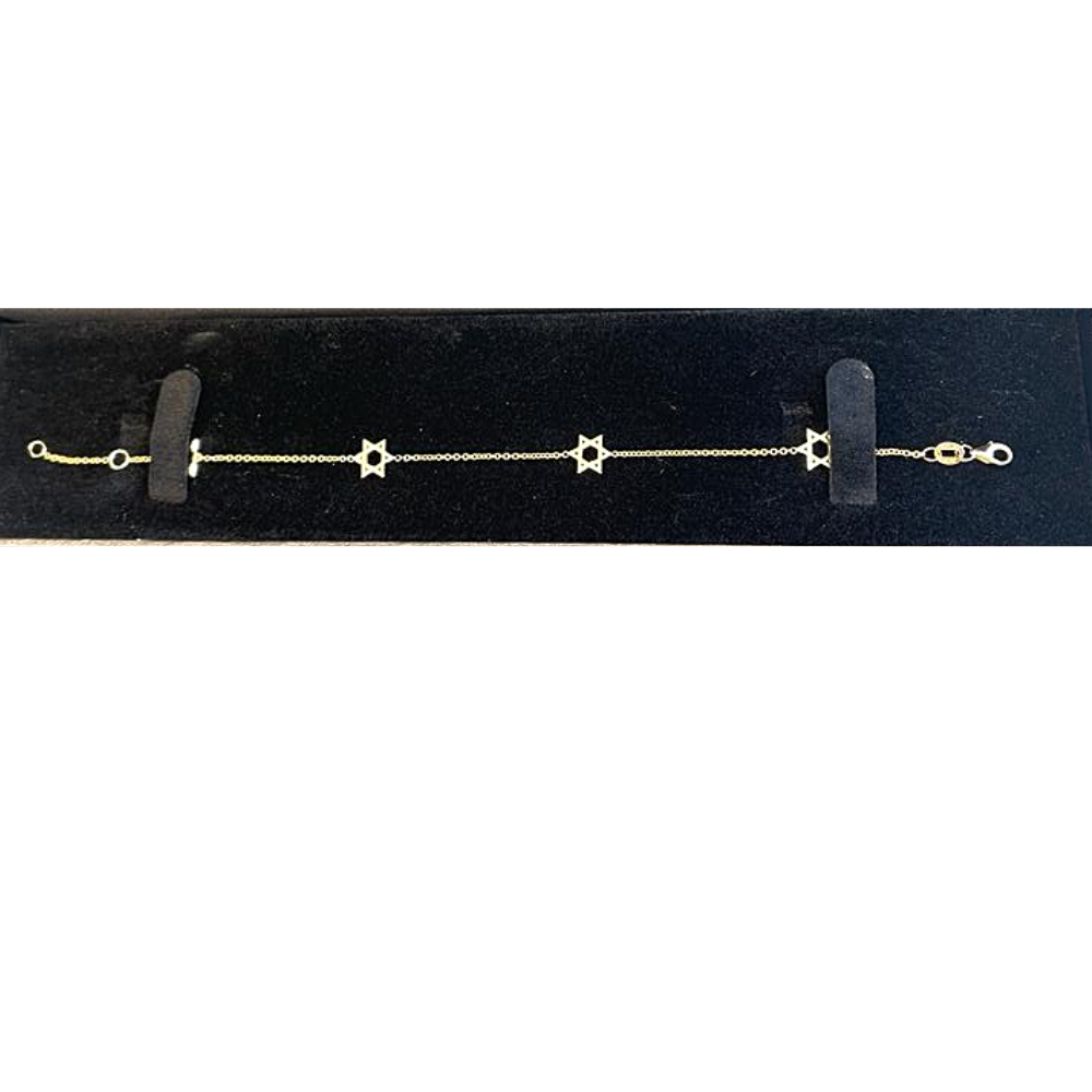 14K Gold Charm Bracelet with Star of David