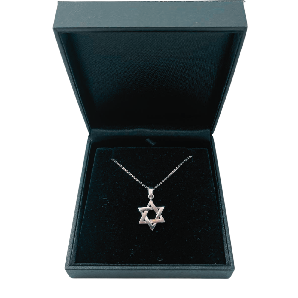 14K White Gold Brushed Star of David Pendant