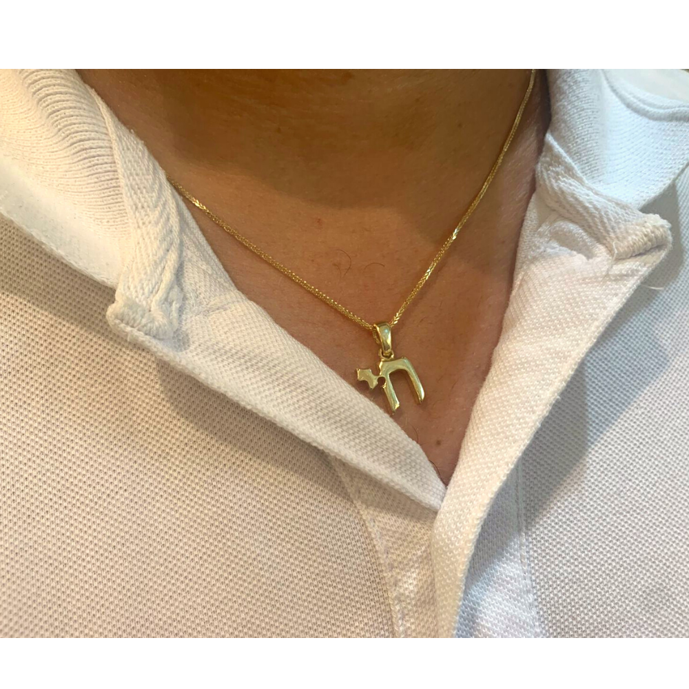 Medium Size Hai 14k Yellow Gold Pendant