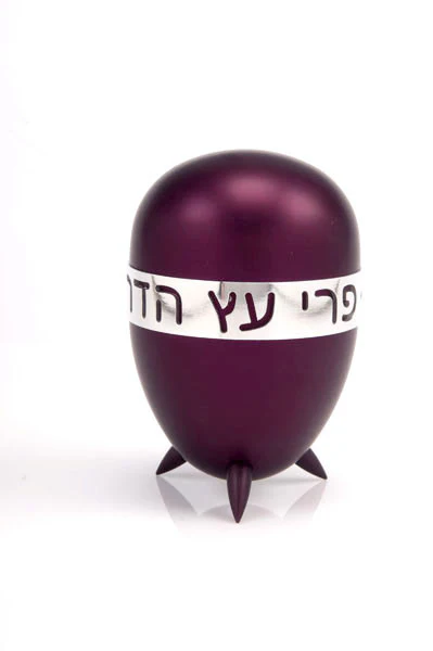 Modern Colorful Etrog Box
