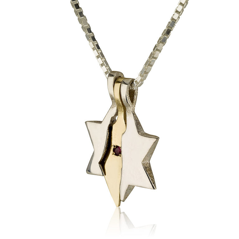 Land of Israel Star of David Pendant