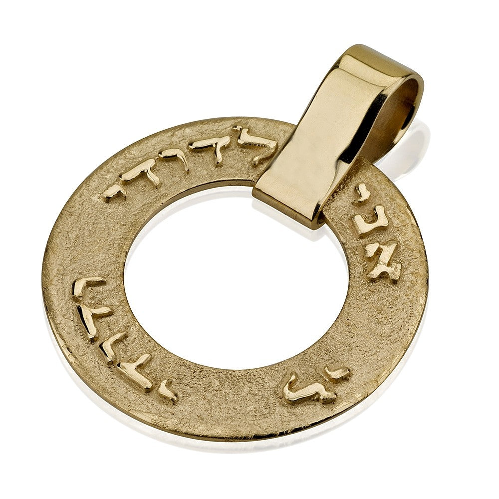 Ani Ledodi Mobius 14k Yellow Gold Pendant Dual Finish