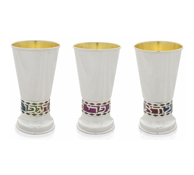 Kiddush Cup - Gad Enamel Embellished Silver