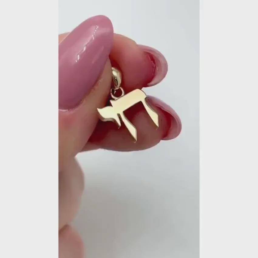 Load video: Chai Pendant - Small in 14K Gold