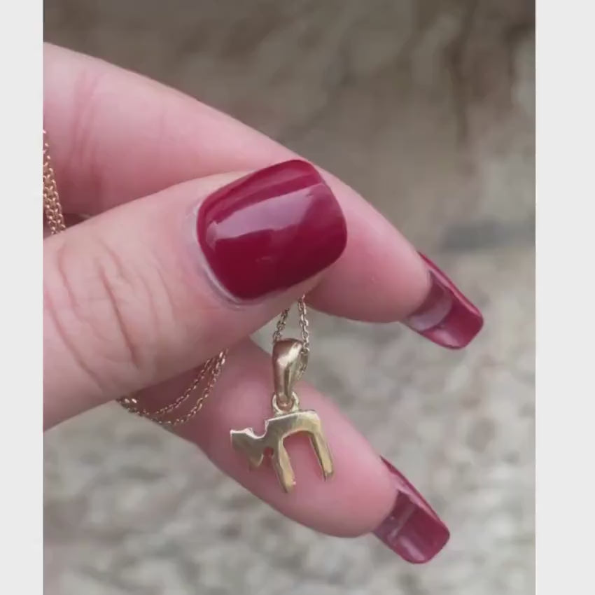 Load video: Chai Hai Small Size 14k Yellow Gold Pendant