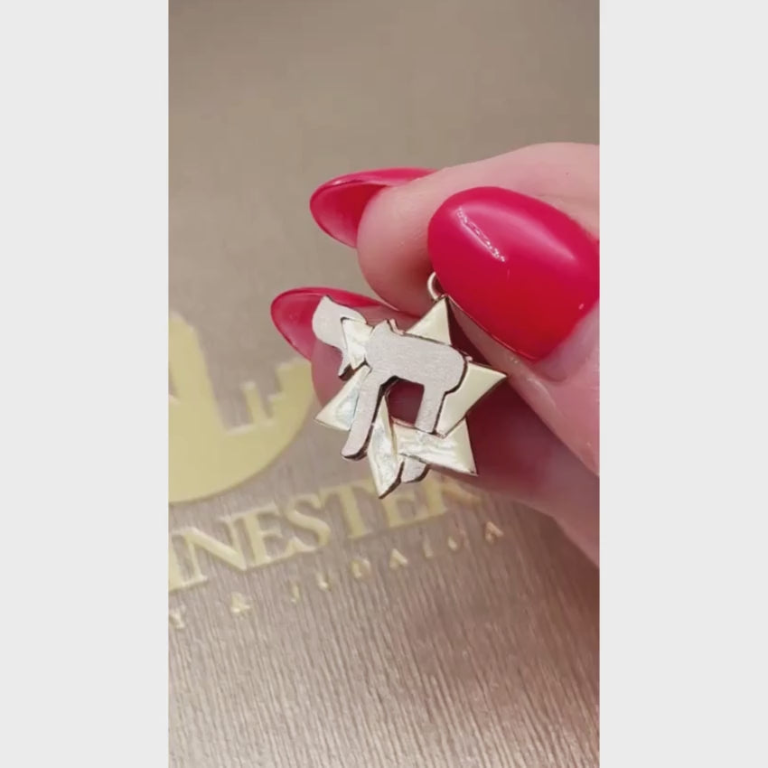 Load video: Star of David and Chai Pendant in 14K Gold