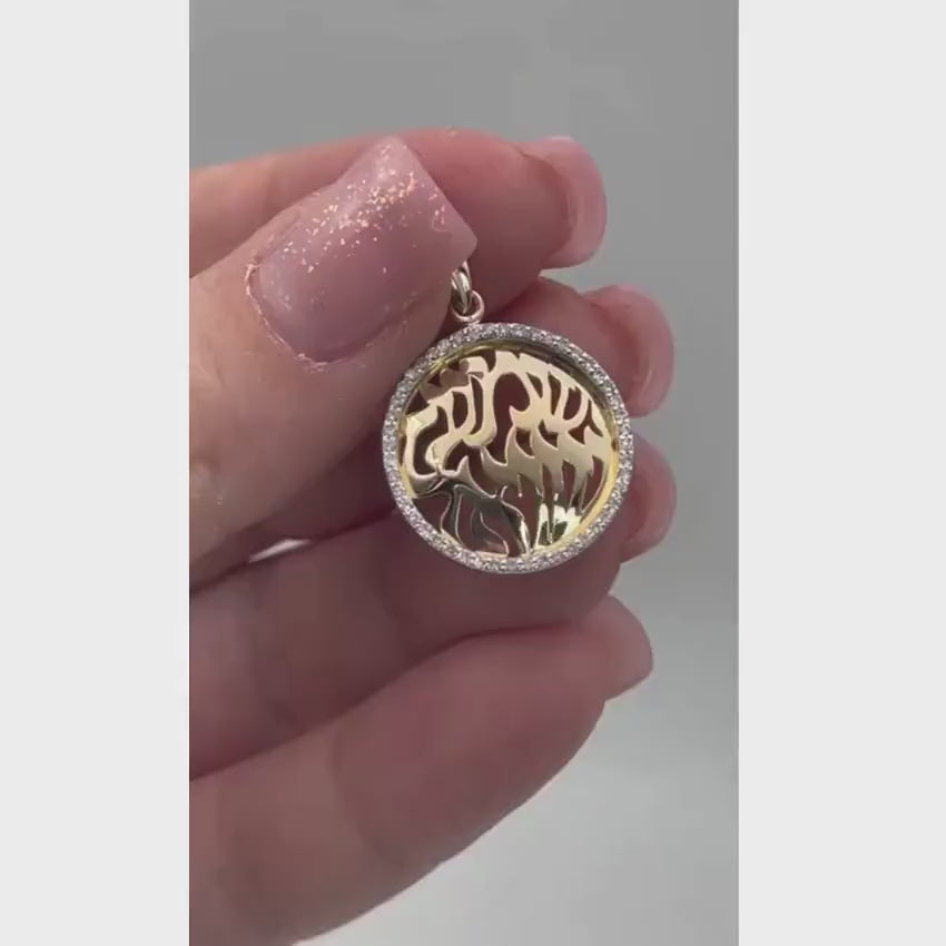 Load video: Diamond Shema Israel Pendant in 14K Gold - 19 mm Dia