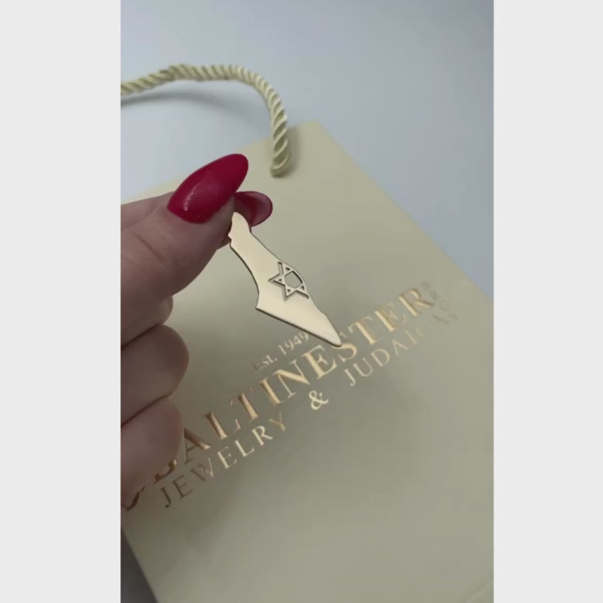 Load video: Map of Israel with Star of David 14K Gold Pendant