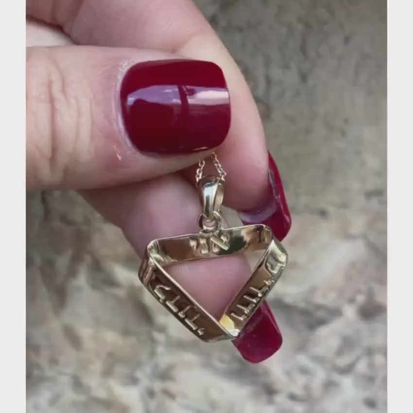 Load video: 14k Gold Ani L'Dodi Infinity Pendant