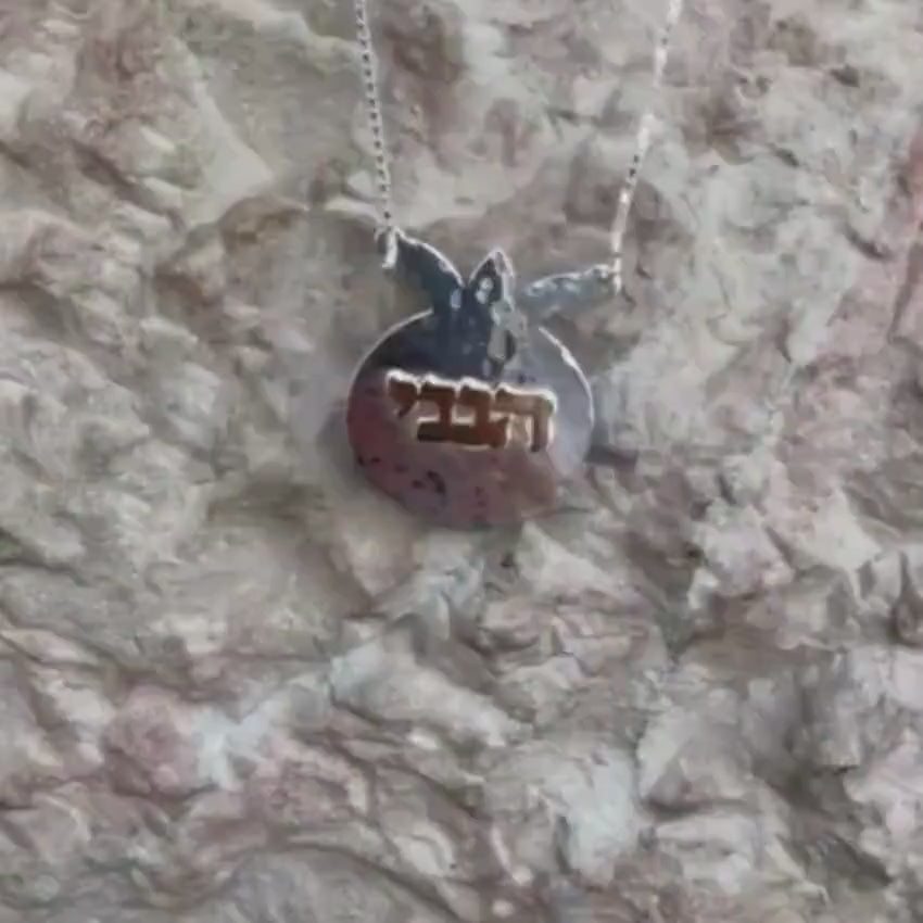 Load video: Silver and Gold Pomegranate Name Necklace