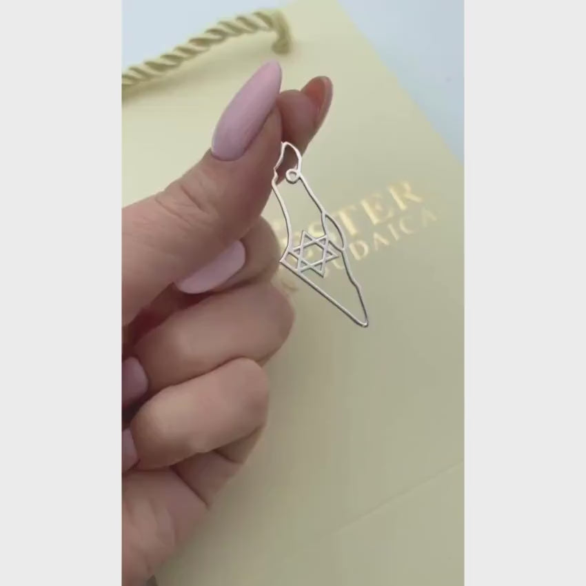 Load video: Map of Israel with Star of David Pendant and Chain in Sterling Silver
