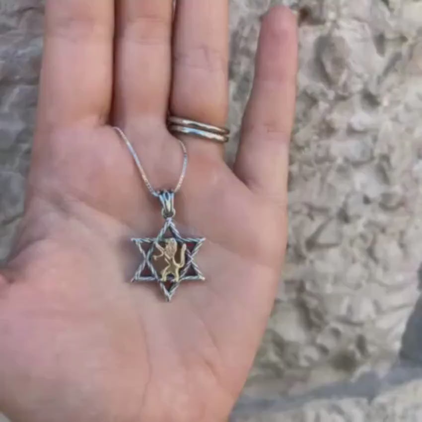 Load video: Lion of Judah &amp; Star of David Necklace in 9K Gold and Silver
