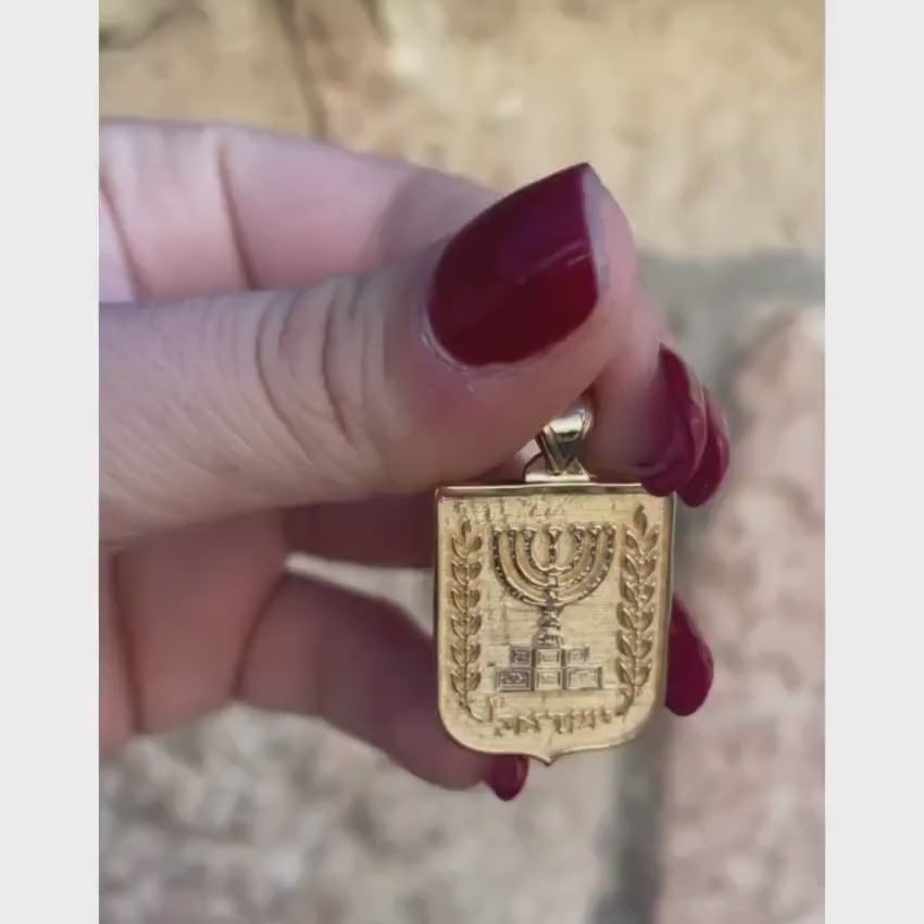 Load video: Emblem of Israel Pendant in 14k Yellow Gold