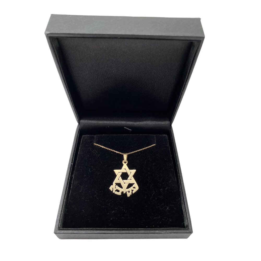 14k Gold Star of David Name Large Pendant
