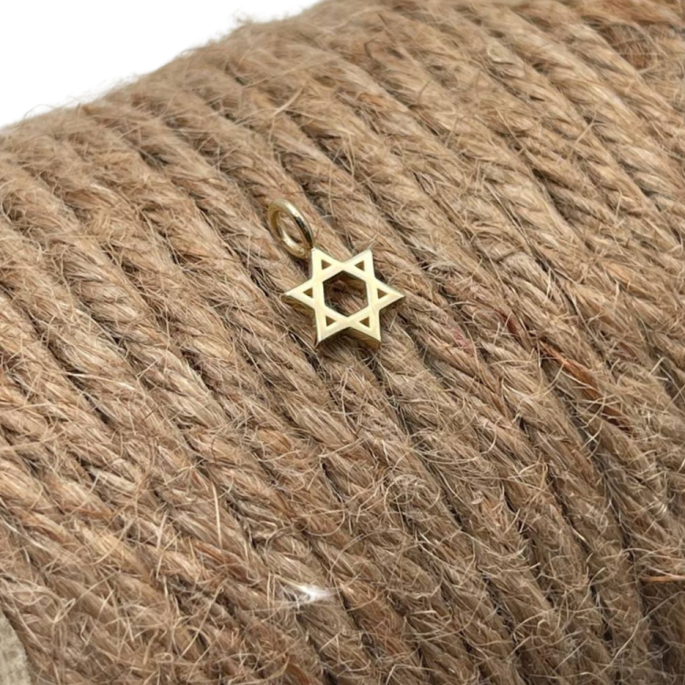 Star of David Jewish Pendant in 14k Yellow Gold