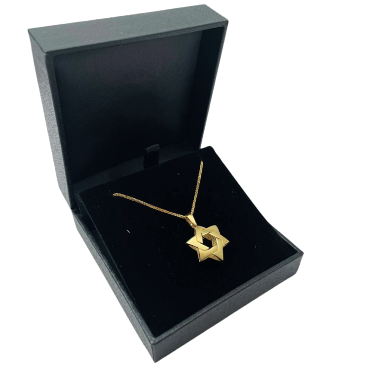 Pillow Intertwined 14k Gold Star of David Pendant
