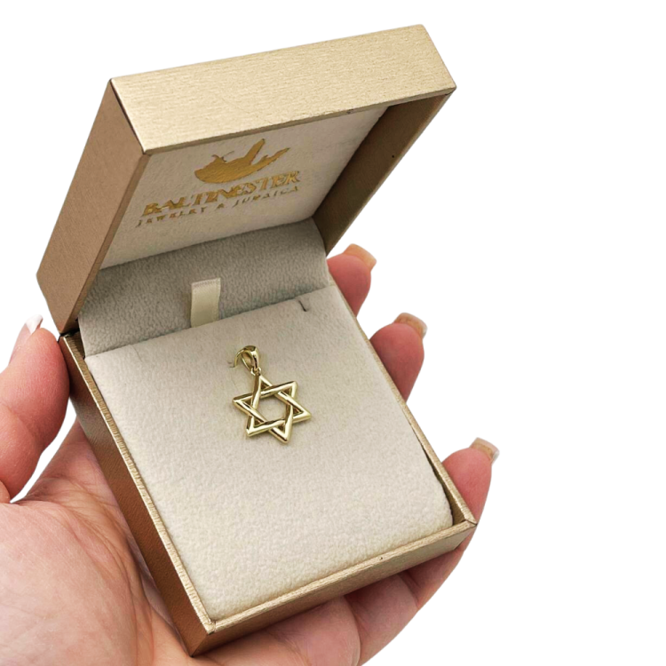 Wavy Star of David Pendant 14k Gold