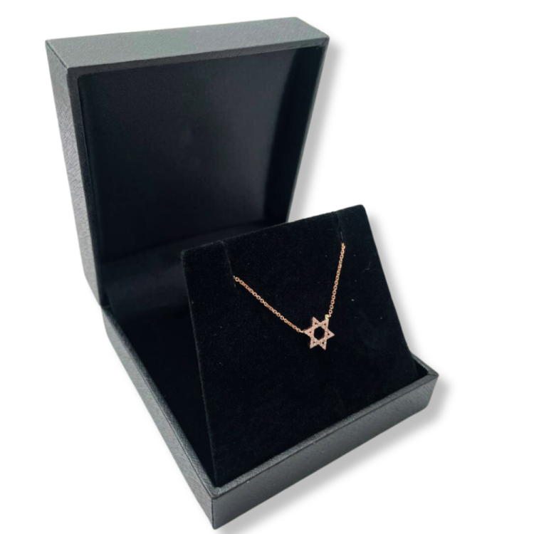 Diamond Star of David Necklace in 14K Gold