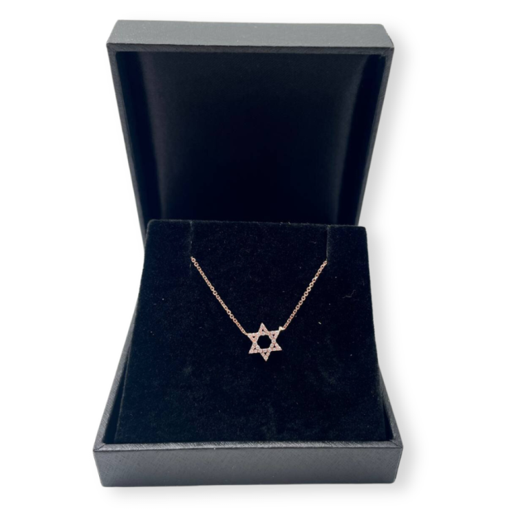 Diamond Star of David Necklace in 14K Gold