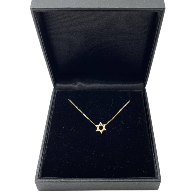 Star of David Linked Necklace in 14K Gold - Petite