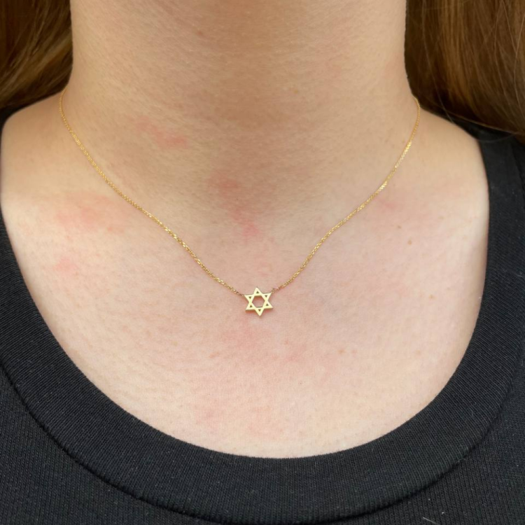 Star of David Linked Necklace in 14K Gold - Petite