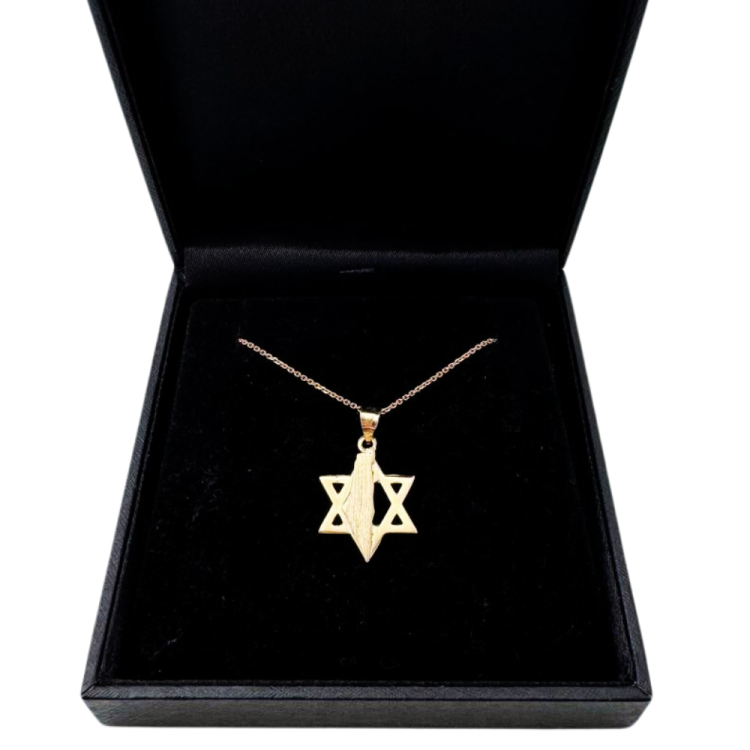 Star of David with Israel Map in 14K Gold Pendant