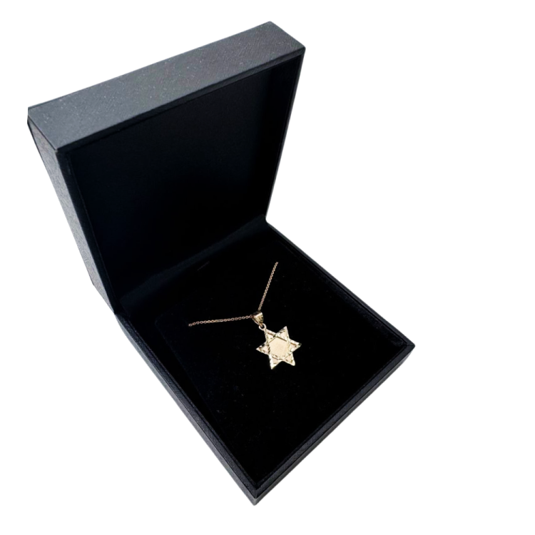 Star of David Pendant in 14K Brushed Gold with Diamond-Cut Borders