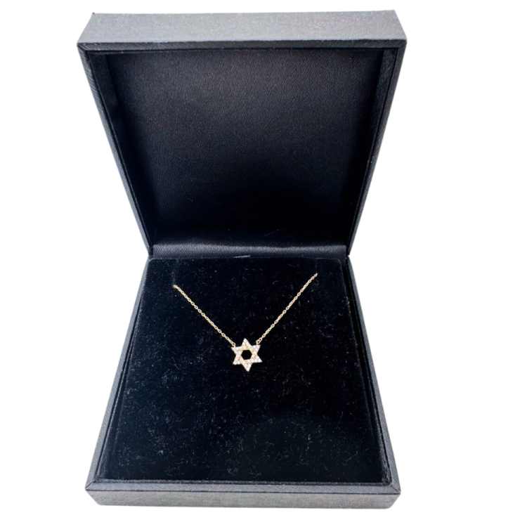 Diamond Star of David Necklace in 14K Gold - 10 mm