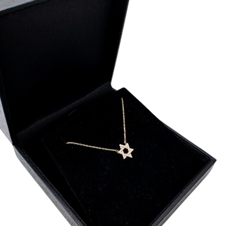 Diamond Star of David Necklace in 14K Gold - 10 mm