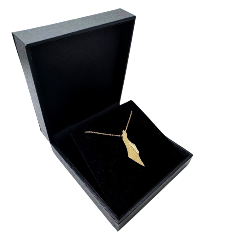 Map of Israel 14K Brushed Gold Pendant