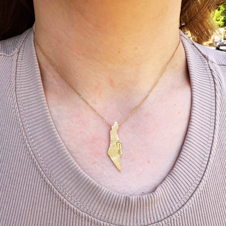 Map of Israel 14K Brushed Gold Pendant