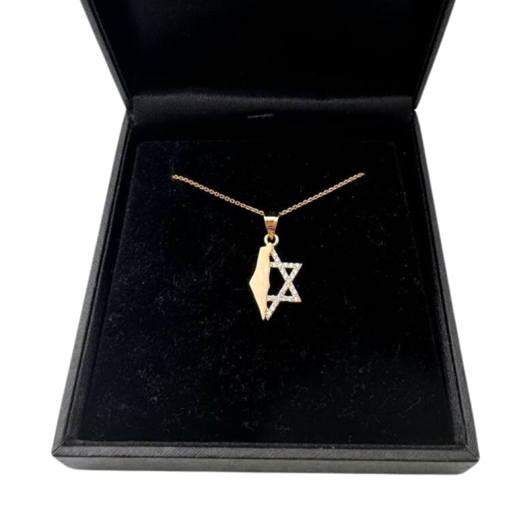 Israel Map with Star of David in 14K Gold Pendant with CZ