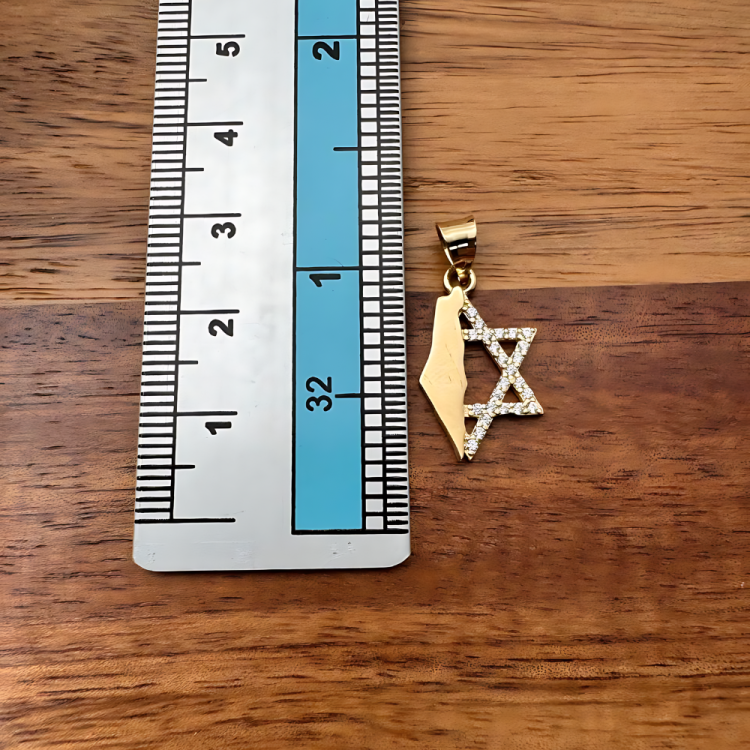 Israel Map with Star of David in 14K Gold Pendant with CZ