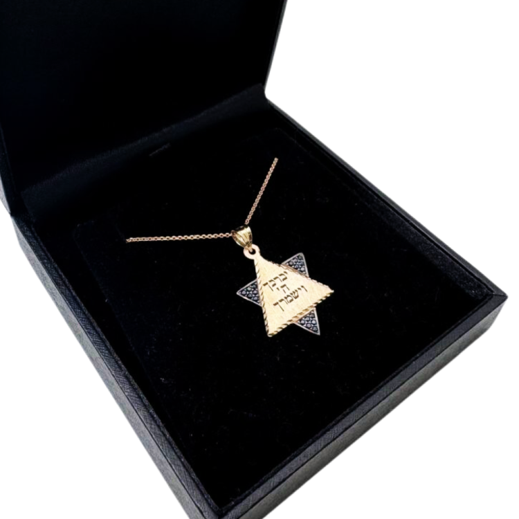 Star of David with Birkat Kohanim Blessing 14K Gold Pendant with Black Onyx