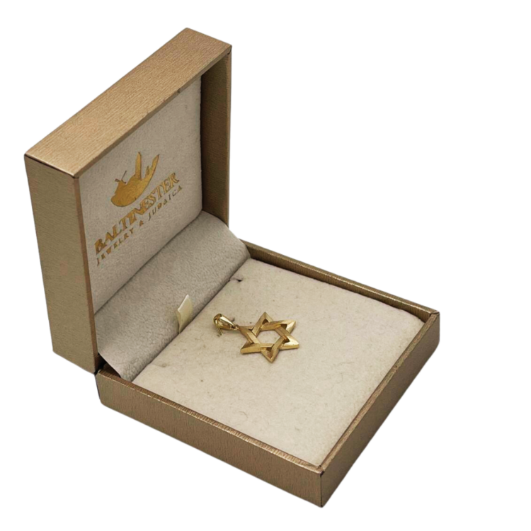 14K Gold Star of David Textured Design Pendant