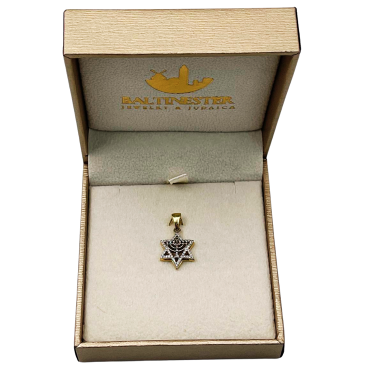 Diamond Star of David Menorah Pendant in 14K Two Tone Gold