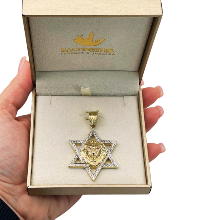 Star of David with Lion of Judah Pendant in 14K Gold with Diamonds & Rubies