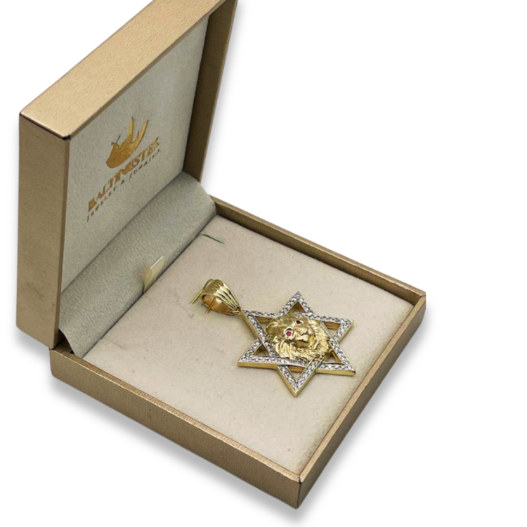 Star of David with Lion of Judah Pendant in 14K Gold with Diamonds & Rubies