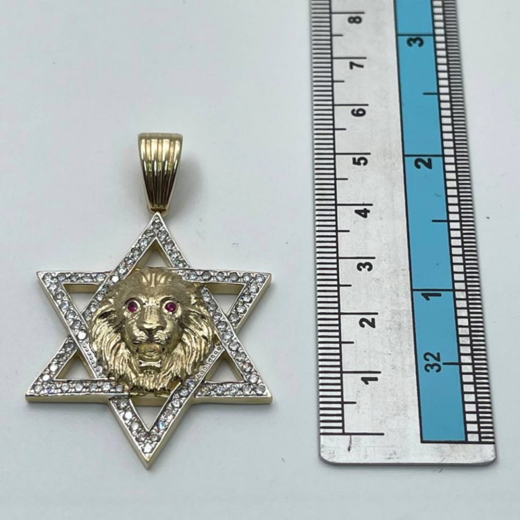 Star of David with Lion of Judah Pendant in 14K Gold with Diamonds & Rubies