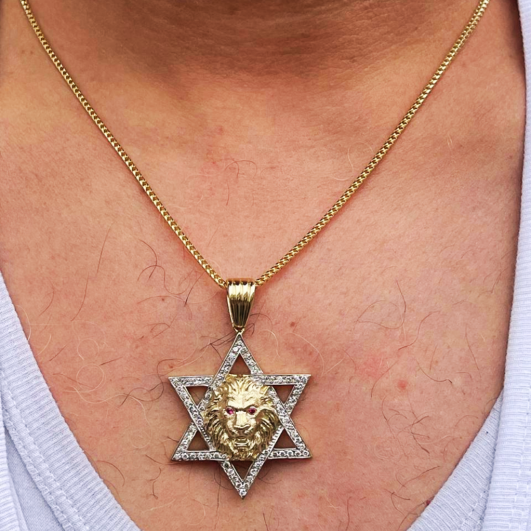 Star of David with Lion of Judah Pendant in 14K Gold with Diamonds & Rubies