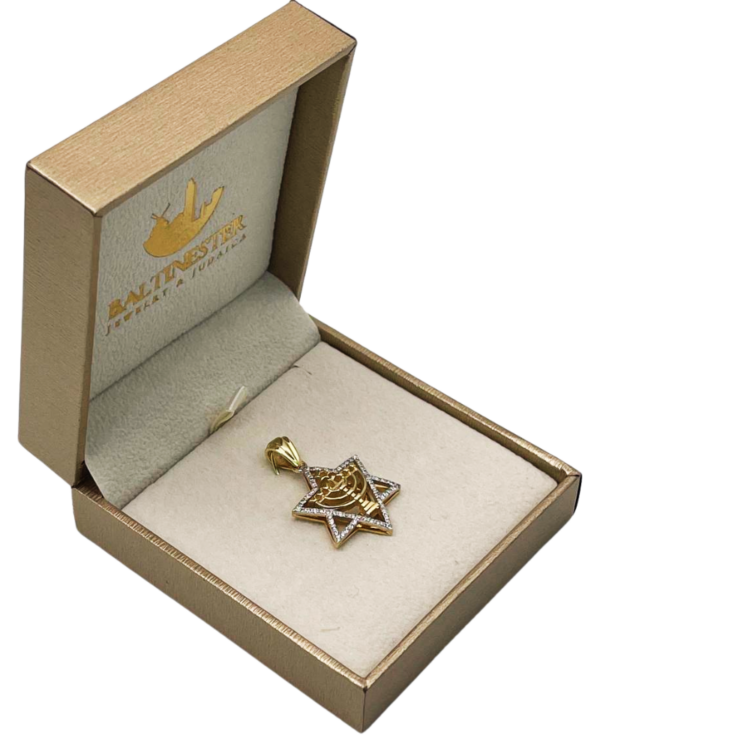 Diamond Studded Star of David Menorah Pendant in 14K Two Tone Gold - Large