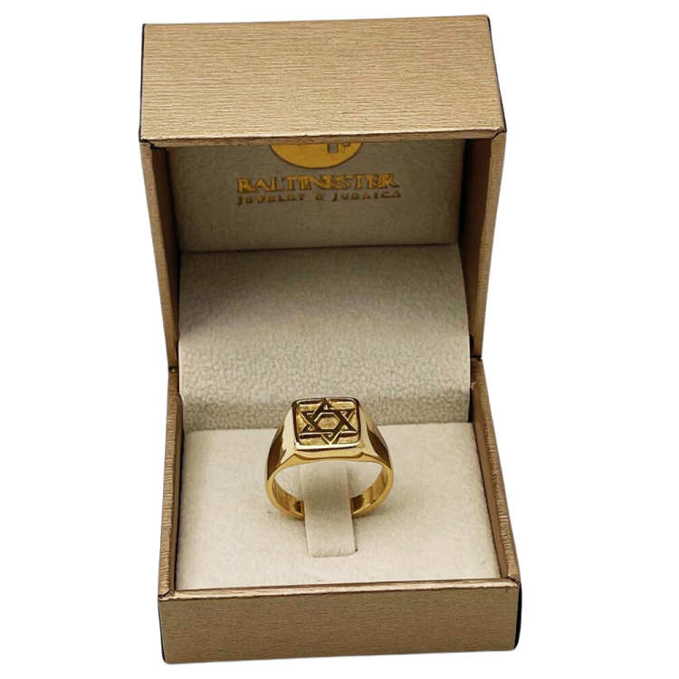 Star of David Signet Ring in 14k Gold