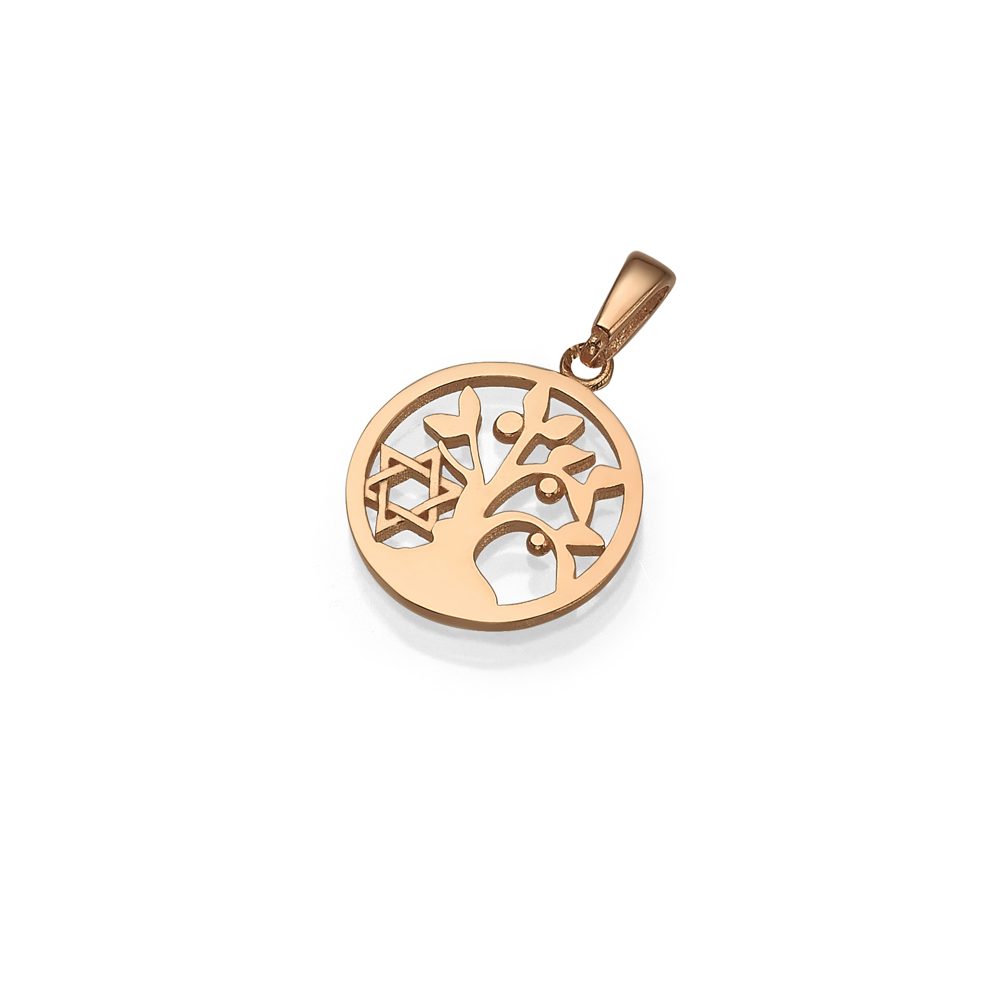 Tree of Life & Star of David Pendant in 14K Gold